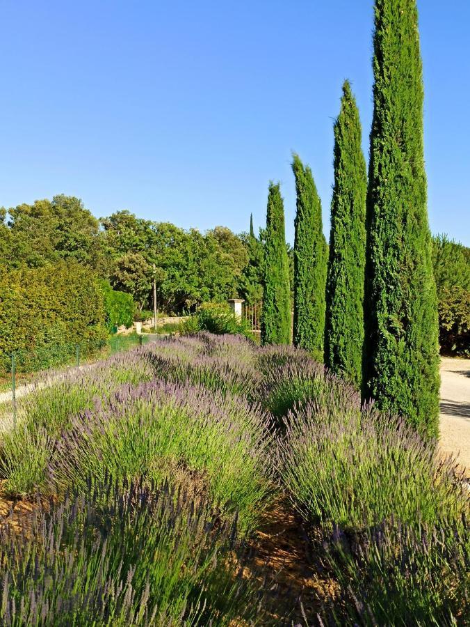 La Bastide De Cocagne Bed & Breakfast Rognes Eksteriør bilde